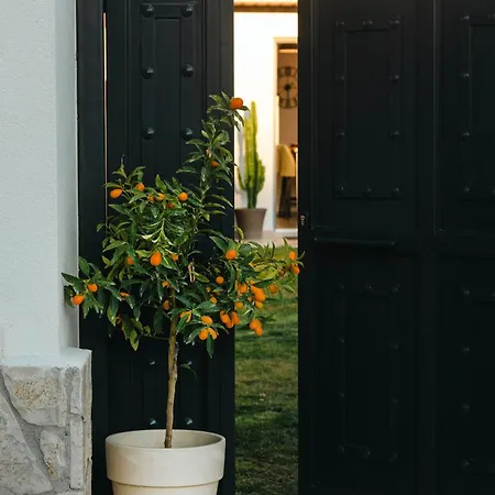 Rustic Charm Petrití